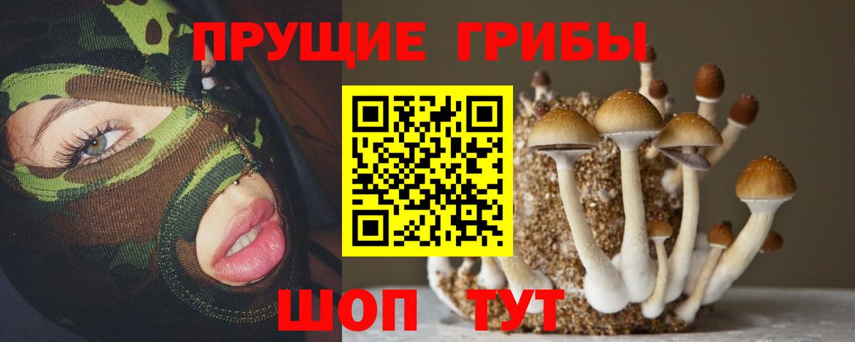 Галлюциногенные грибы MAGIC MUSHROOMS  Галлюциногенные грибы MAGIC MUSHROOMS  Вход с VPN  Нижний Тагил 